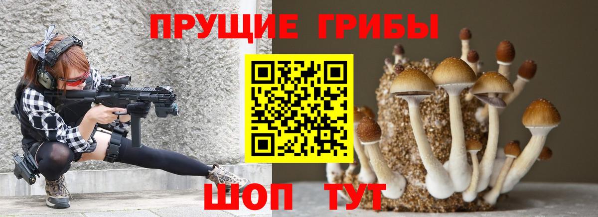 Жигулёвск  Галлюциногенные грибы мухоморы  Вход с VPN 
